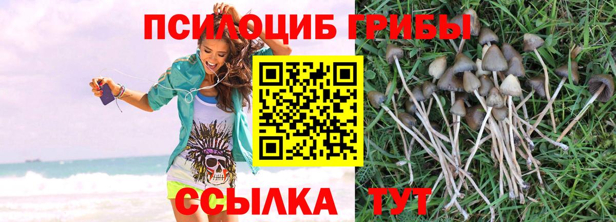 сколько стоит  Псилоцибиновые грибы мицелий  Вход с VPN  Шатура 